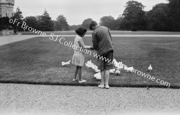 ANTHONY AND MYRA BUTLER FEEDING PIDGEONS  VISCOUNT THURLES